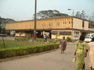 Curriculum Department